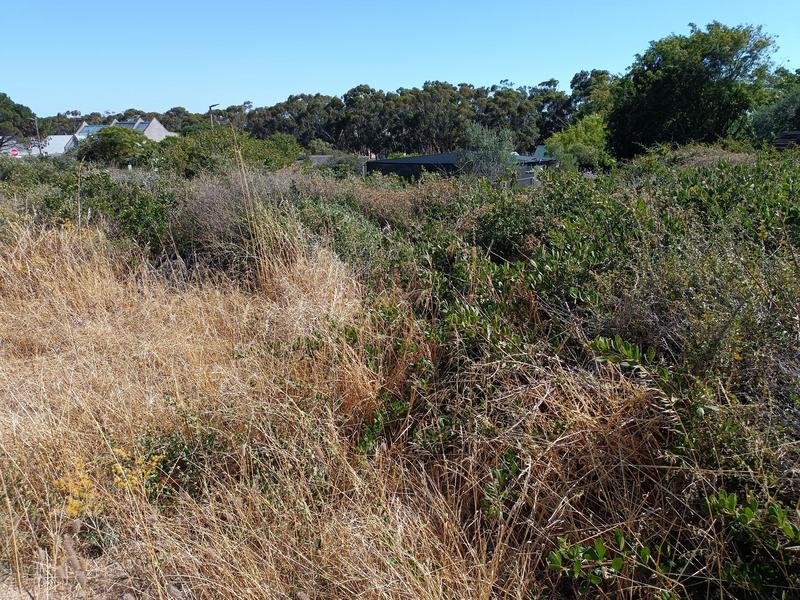 0 Bedroom Property for Sale in Darling Western Cape